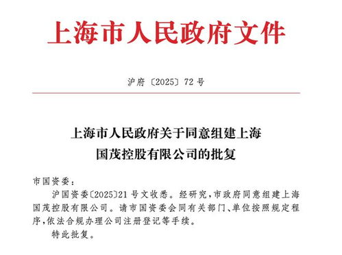 上海市政府批準(zhǔn)成立注冊(cè)資本130億元新國(guó)企，聚焦計(jì)算機(jī)軟硬件技術(shù)研發(fā)